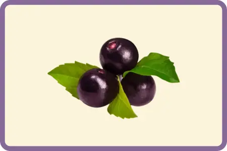 Açaí