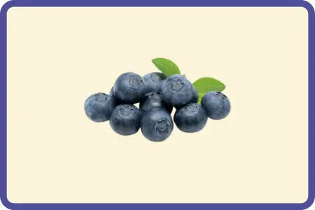 Moras