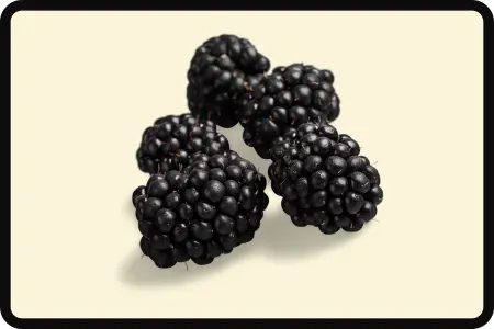 Moras